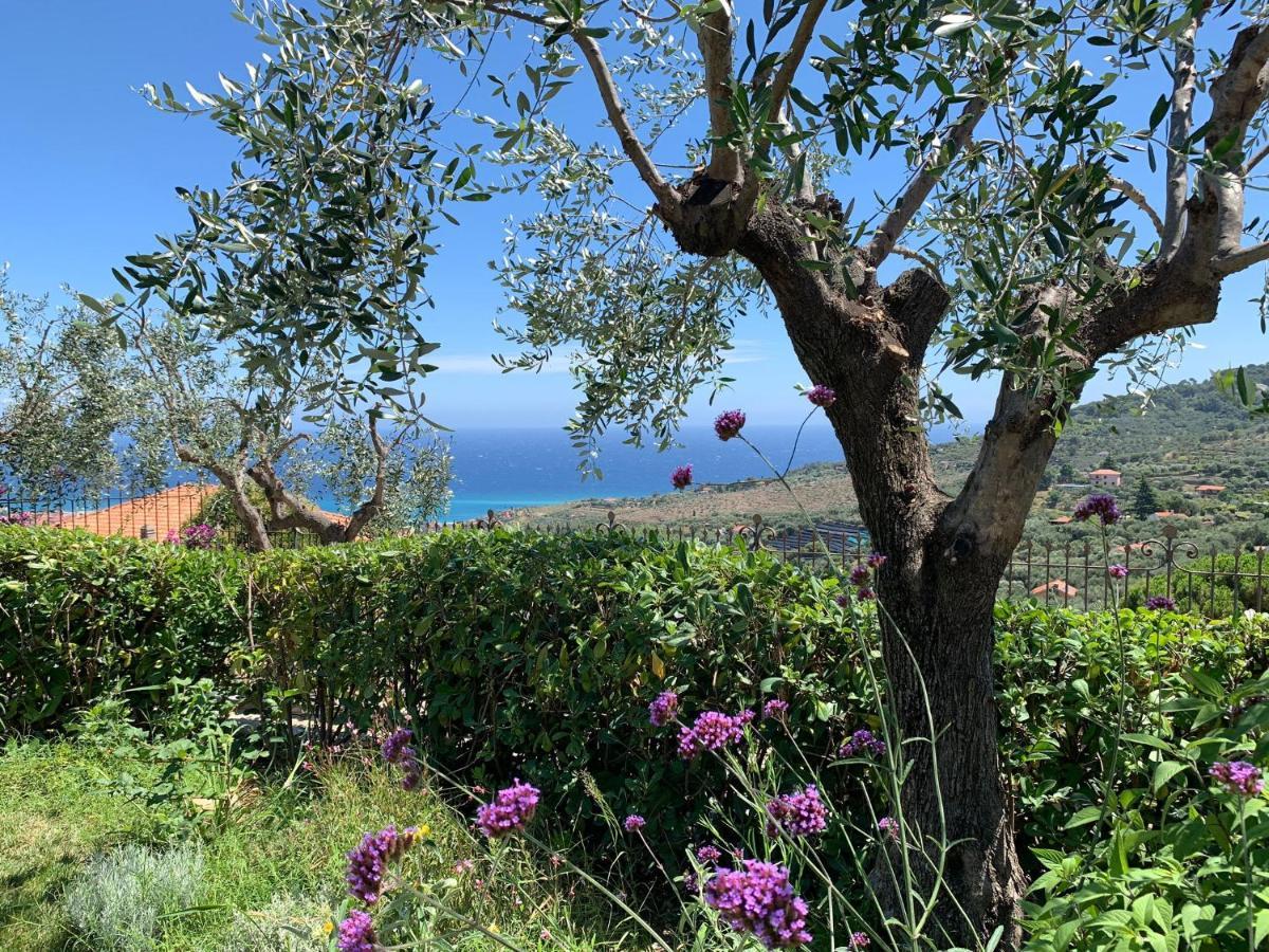 Agriturismo L'Orto Di Muma Gorleri Exteriör bild